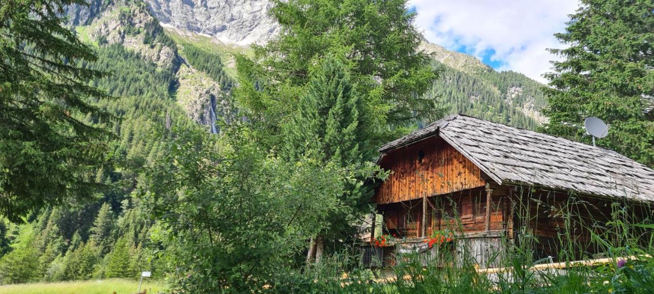 Sport Hotel Wildgall Anterselva di Mezzo Esterno foto